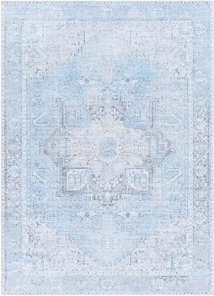 Livabliss Amelie AML-2362 Traditional Machine Woven Area Rugs