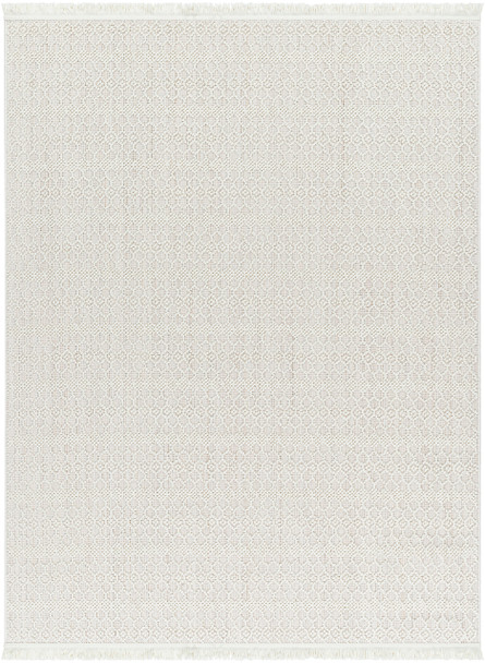 Livabliss New Delhi NWH-2308 Global Machine Woven Area Rugs