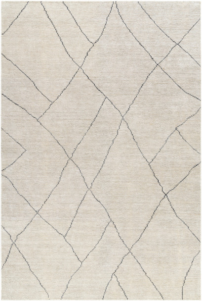 Livabliss Nalan NYL-2303 Modern Hand Woven Area Rugs