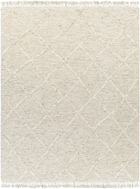 Livabliss Tenerife TNF-2300 Global Hand Knotted Area Rugs