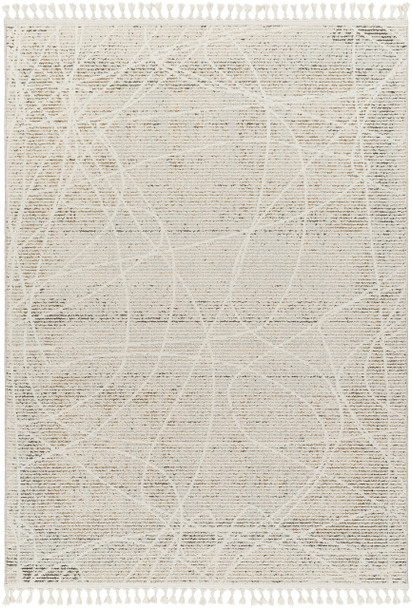Livabliss Rudy RDY-2303 Modern Machine Woven Area Rugs