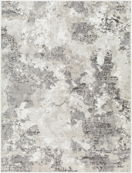 Livabliss Soldado SOD-2305  Machine Woven Area Rugs