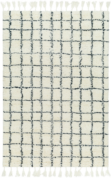 Surya Mirela MMI-2303  Hand Woven Area Rugs