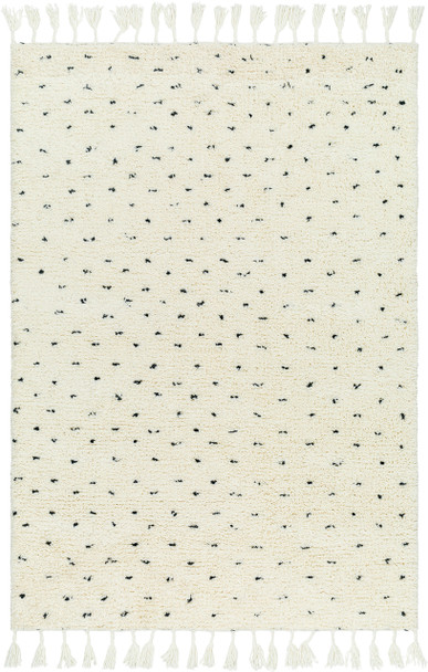 Livabliss Mirela MMI-2305  Hand Woven Area Rugs