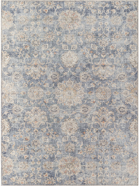Livabliss Downtown DTW-2322  Machine Woven Area Rugs
