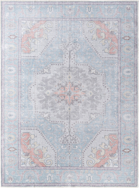 Livabliss Embrace EMA-2307  Machine Woven Area Rugs