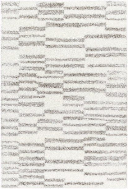 Surya Cloudy Shag CDG-2328  Machine Woven Area Rugs