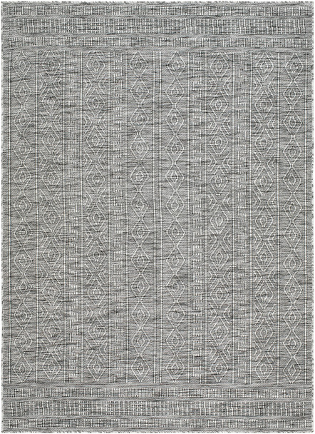 Livabliss Terrace TRC-2302  Machine Woven Area Rugs