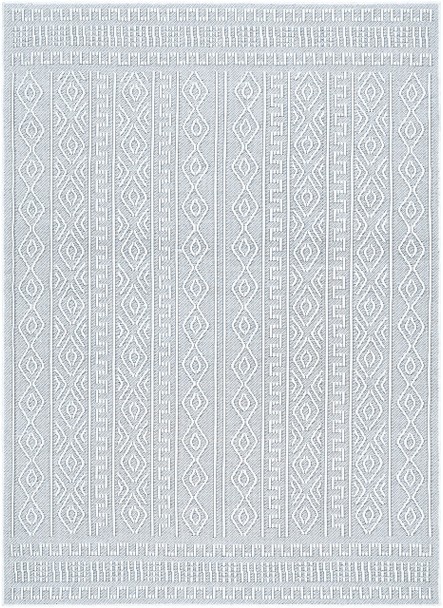 Surya Terrace TRC-2310  Machine Woven Area Rugs