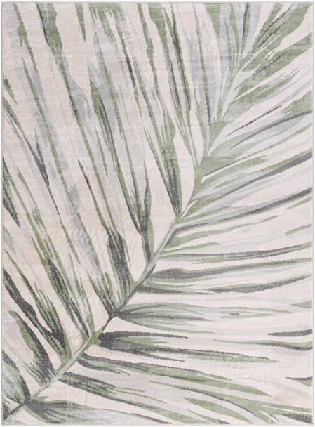 Livabliss Roma ROM-2401  Machine Woven Area Rugs