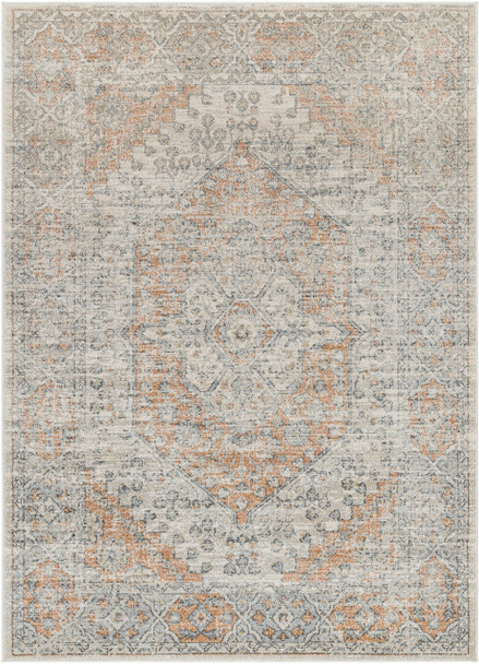 Livabliss Alpharetta APH-2309  Machine Woven Area Rugs