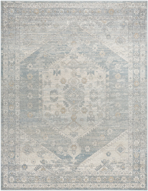 Livabliss Alpharetta APH-2310  Machine Woven Area Rugs