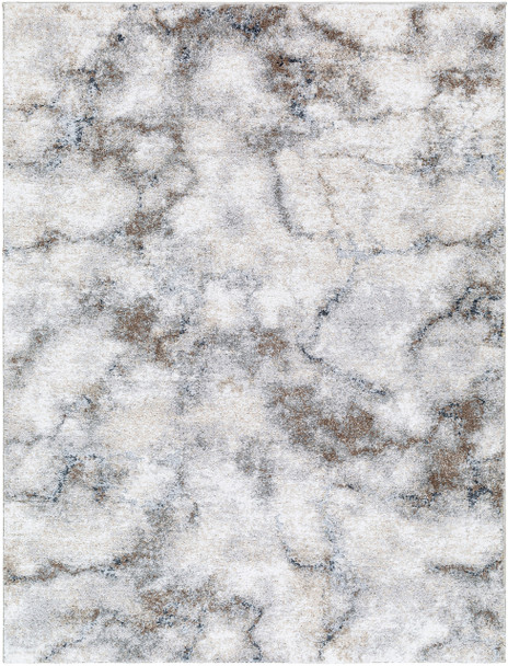 Livabliss Portofino PTF-2318  Machine Woven Area Rugs