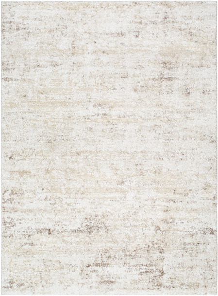 Livabliss Andorra Plus ARP-2305  Machine Woven Area Rugs