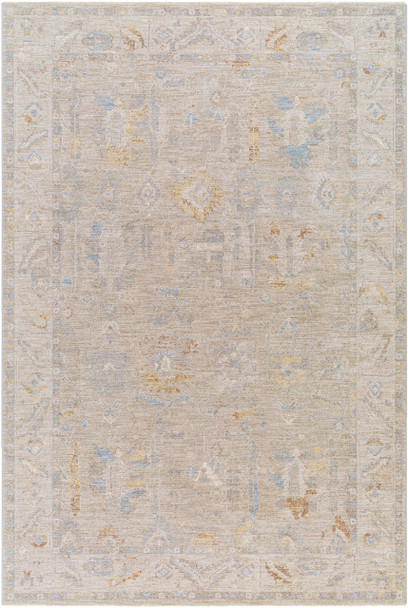 Surya Avant Garde AVT-2379 Traditional Machine Woven Area Rugs