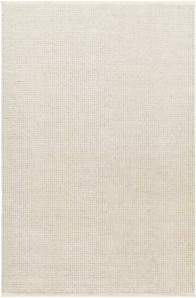 Livabliss Rebecca RBC-2300 Modern Hand Woven Area Rugs