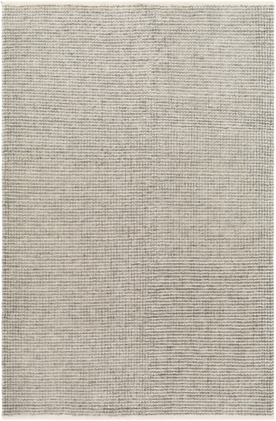 Livabliss Rebecca RBC-2305 Modern Hand Woven Area Rugs