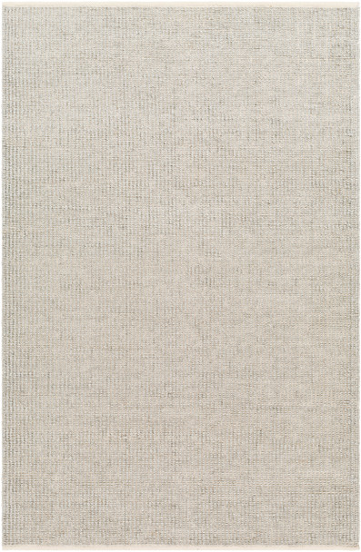 Livabliss Rebecca RBC-2304 Modern Hand Woven Area Rugs