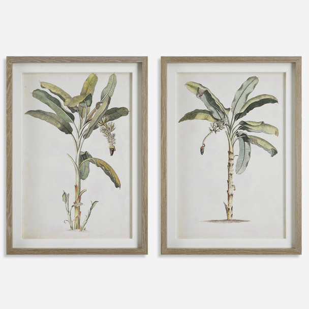 Uttermost Banana Palm Framed Prints, Set/2