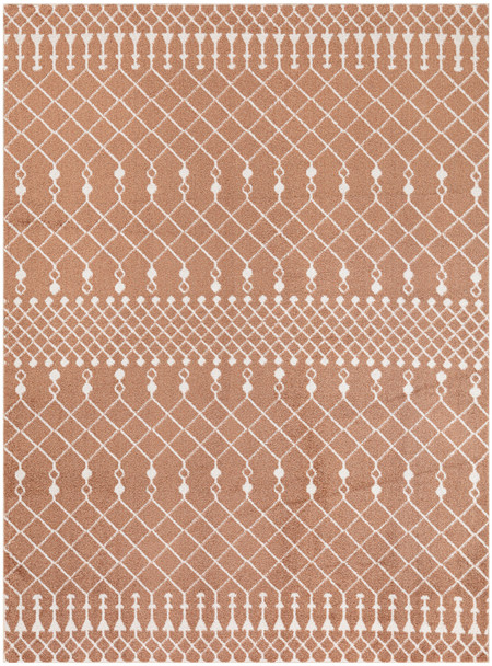 Nourison Astra Machine Washable ASW10 Copper Area Rugs