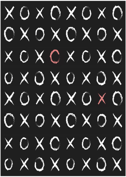 Nourison Imagination IMA18 Black Area Rugs