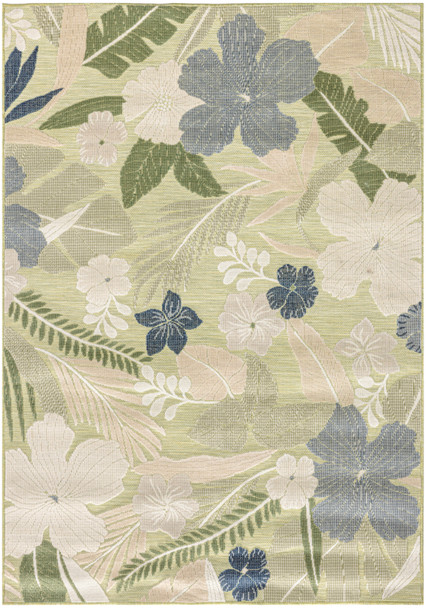 Nourison Suncoast SNC01 Green Blue Area Rugs