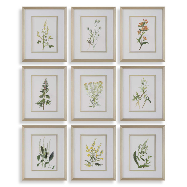 Uttermost Botanical Flowers Framed Prints Set/9