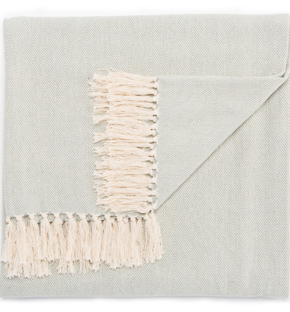 Jaipur Living Cannon Light Blue/ Cream Chevron Throw