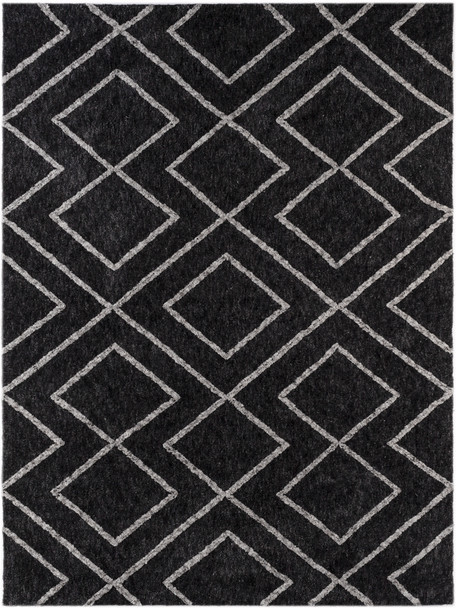 Amer Rugs Bryant BRY-8 Graphite Gray Shag Area Rugs