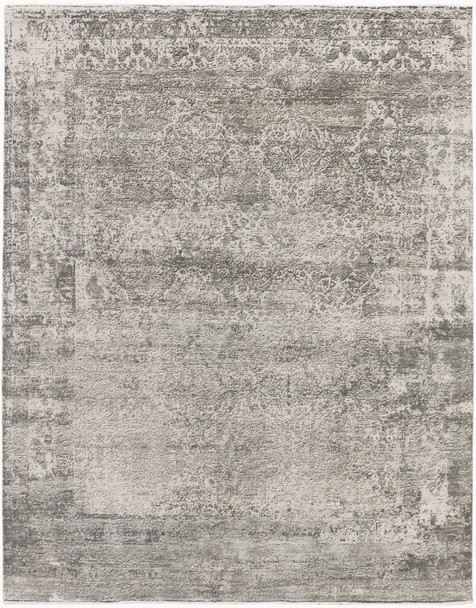 Amer Rugs Zenith ZEN-86 Gray Gray Hand-knotted Area Rugs