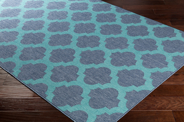 Surya Alfresco ALF-9663 Cottage Machine Woven Area Rugs