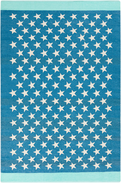 Surya Picnic PIC-4010 Modern Hand Woven Area Rugs