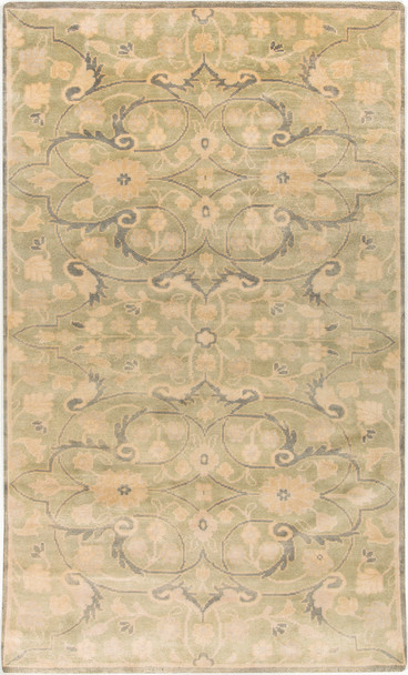 Surya Ainsley AIN-1013 Traditional Hand Knotted Area Rugs