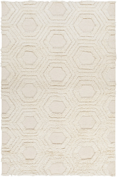 Surya Kabru KAB-8017 Modern Hand Woven Area Rugs