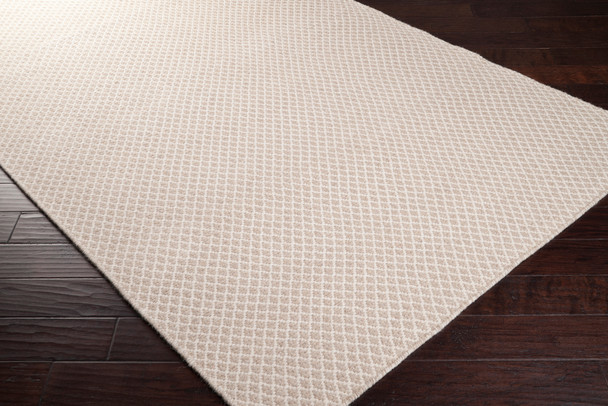 Surya Ravena RVN-3000 Cottage Hand Woven - 2' X 3' Rectangle Area Rug