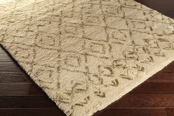 Surya Tasman TAS-4502 Global Hand Woven - 2' X 3' Rectangle Area Rug