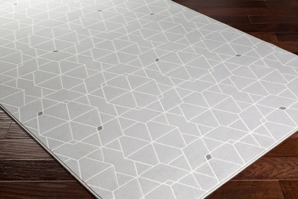 Surya Contempo CPO-3713 Modern Machine Woven Area Rugs