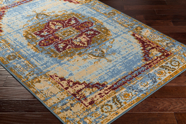 Surya Sonya SYA-1011 Traditional Machine Woven Area Rugs