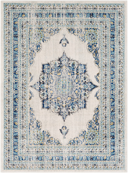 Surya Harput HAP-1031 Traditional Machine Woven Area Rugs