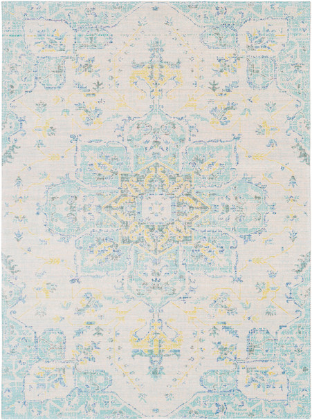 Surya Seasoned Treasures SDT-2307 Traditional Machine Woven Area Rugs