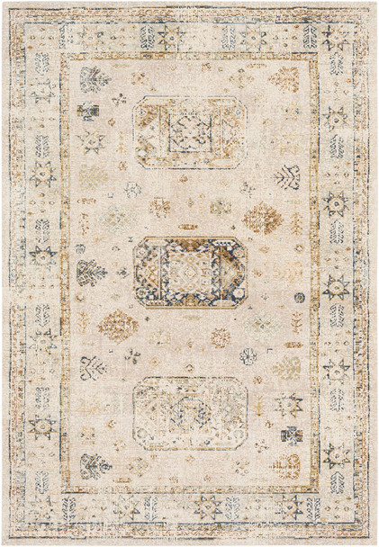 Surya Stonewashed SNW-2305 Traditional Machine Woven Area Rugs