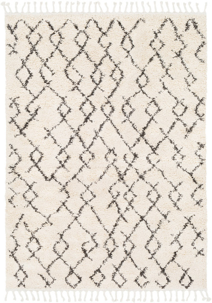 Surya Berber Shag BBE-2301 Global Machine Woven Area Rugs