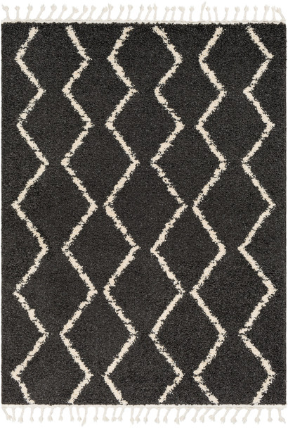 Surya Berber Shag BBE-2306 Global Machine Woven Area Rugs