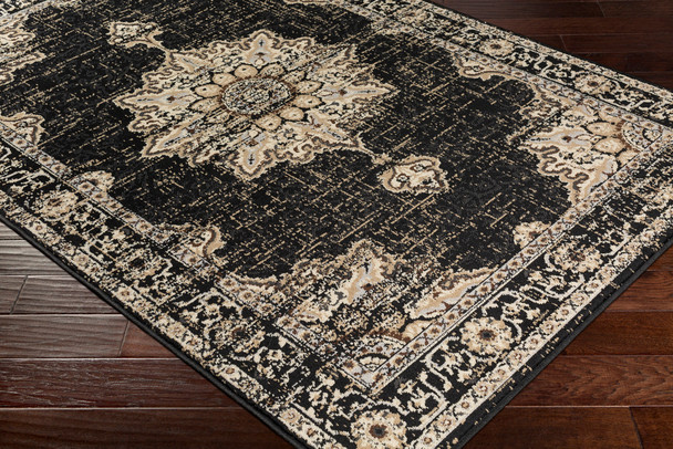Surya Paramount PAR-1089 Traditional Machine Woven Area Rugs