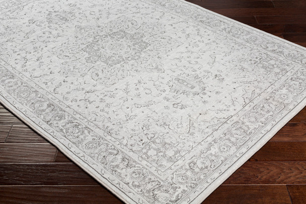 Surya Contempo CPO-3842 Traditional Machine Woven Area Rugs