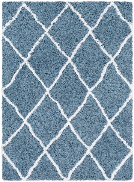 Surya Urban Shag USG-2309 Global Machine Woven Area Rugs