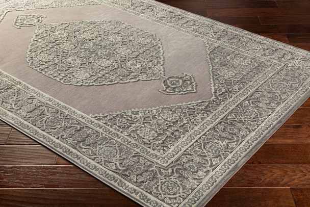 Surya Aesop ASP-2317 Traditional Machine Woven Area Rugs