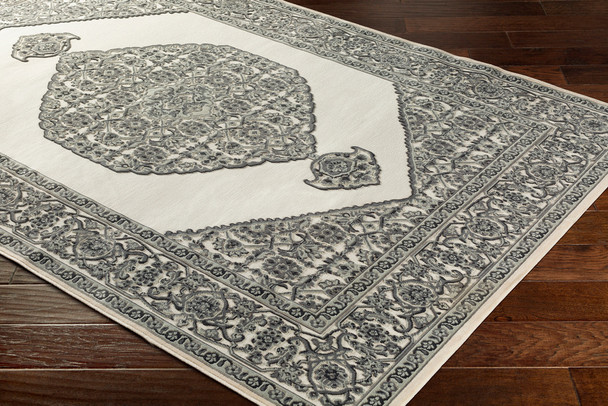 Surya Aesop ASP-2318 Traditional Machine Woven Area Rugs