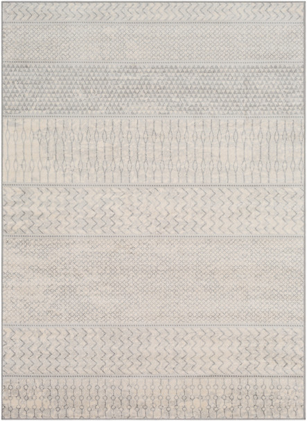 Surya Monaco MOC-2306 Global Machine Woven Area Rugs
