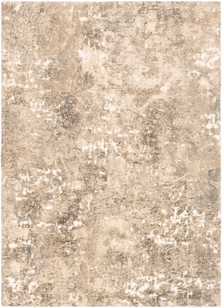 Surya Tuscany TUS-2304 Modern Machine Woven Area Rugs